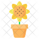 پیش‌نمایش فایل flower-pot-3592774 از پک باغبانی