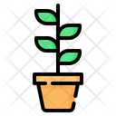 پیش‌نمایش فایل plant-3592808 از پک باغبانی