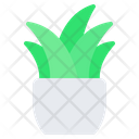 پیش‌نمایش فایل plant-4151905 از پک اتاق نشیمن