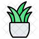 پیش‌نمایش فایل plant-4151935 از پک اتاق نشیمن