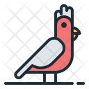 پیش‌نمایش فایل galah-3136449 از پک استرالیایی