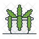 پیش‌نمایش فایل fishbone-cactus-3187338 از پک گیاه خانگی