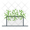 پیش‌نمایش فایل mistletoe-cactus-3187340 از پک گیاه خانگی