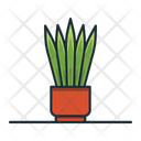 پیش‌نمایش فایل snake-plant-3187341 از پک گیاه خانگی