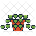 پیش‌نمایش فایل string-of-hearts-3187342 از پک گیاه خانگی