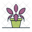 پیش‌نمایش فایل velvet-calathea-3187343 از پک گیاه خانگی