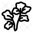 پیش‌نمایش فایل celery-1752749 از پک سبزیجات