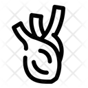 پیش‌نمایش فایل fennel-1752741 از پک سبزیجات