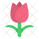 پیش‌نمایش فایل tulip-3514136 از پک بوم شناسی محیط زیست