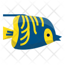 پیش‌نمایش فایل angle-fish-6523942 از پک ماهی اقیانوس