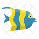 پیش‌نمایش فایل arabian-angle-fish-6523945 از پک ماهی اقیانوس
