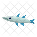 پیش‌نمایش فایل barracuda-6523946 از پک ماهی اقیانوس
