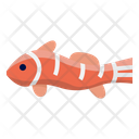 پیش‌نمایش فایل clownfish-6523952 از پک ماهی اقیانوس