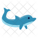 پیش‌نمایش فایل dolphin-6523944 از پک ماهی اقیانوس