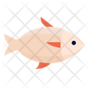 پیش‌نمایش فایل fish-6523943 از پک ماهی اقیانوس