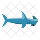 پیش‌نمایش فایل hammerhead-6523959 از پک ماهی اقیانوس
