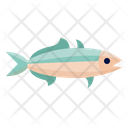 پیش‌نمایش فایل keta-fish-6523960 از پک ماهی اقیانوس