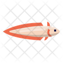 پیش‌نمایش فایل ling-fish-6523962 از پک ماهی اقیانوس