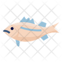 پیش‌نمایش فایل platy-fish-6523965 از پک ماهی اقیانوس