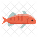 پیش‌نمایش فایل yellow-perch-6523969 از پک ماهی اقیانوس