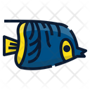پیش‌نمایش فایل angelfish-6518042 از پک ماهی اقیانوس