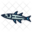 پیش‌نمایش فایل barracuda-fish-6518046 از پک ماهی اقیانوس