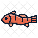 پیش‌نمایش فایل clownfish-6518052 از پک ماهی اقیانوس