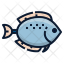 پیش‌نمایش فایل flounder-fish-6518055 از پک ماهی اقیانوس