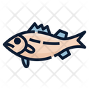پیش‌نمایش فایل platy-fish-6518065 از پک ماهی اقیانوس