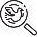 پیش‌نمایش فایل find-peace از پک صلح و حقوق بشر