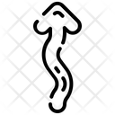 پیش‌نمایش فایل zigzag-up-2654339 از پک پیکان ها
