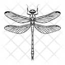 پیش‌نمایش فایل damselfly-12196033 از پک حیوان