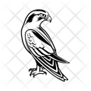 پیش‌نمایش فایل falcon-12196039 از پک حیوان
