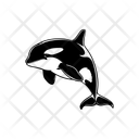 پیش‌نمایش فایل orca-12196063 از پک حیوان
