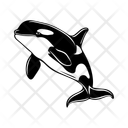 پیش‌نمایش فایل orca-12196064 از پک حیوان