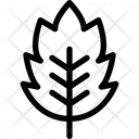 پیش‌نمایش فایل leaf-1680366 از پک پاییز