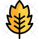 پیش‌نمایش فایل leaf-1691020 از پک پاییز