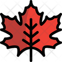 پیش‌نمایش فایل maple-leaf-1691006 از پک پاییز