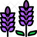 پیش‌نمایش فایل lavender-1691263 از پک هوکایدو