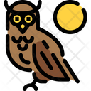 پیش‌نمایش فایل owl-1691258 از پک هوکایدو