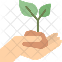 پیش‌نمایش فایل hand-holding-plant-4109951 از پک بوم شناسی