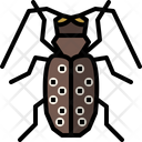پیش‌نمایش فایل citrus-long-horned-beetle-4149038 از پک حشره