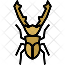 پیش‌نمایش فایل cyclommatus-stag-4149032 از پک حشره