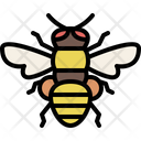 پیش‌نمایش فایل honeybee-4149016 از پک حشره