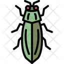 پیش‌نمایش فایل jewel-beetle-4149034 از پک حشره