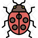 پیش‌نمایش فایل ladybug-4149014 از پک حشره