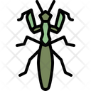 پیش‌نمایش فایل mantis-4149028 از پک حشره