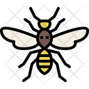 پیش‌نمایش فایل wasp-4149024 از پک حشره