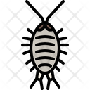 پیش‌نمایش فایل wharf-roach-4149040 از پک حشره