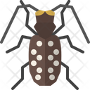 پیش‌نمایش فایل citrus-long-horned-beetle-4149068 از پک حشره